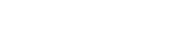 Project